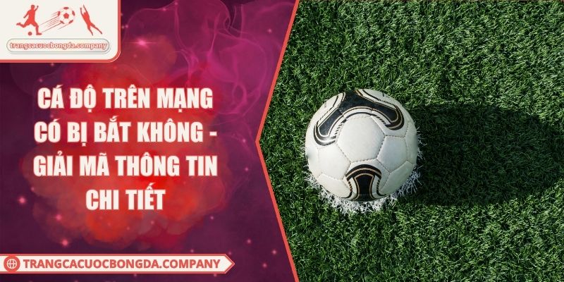 Cá Độ Trên Mạng Có Bị Bắt Không - Giải Mã Thông Tin Chi Tiết