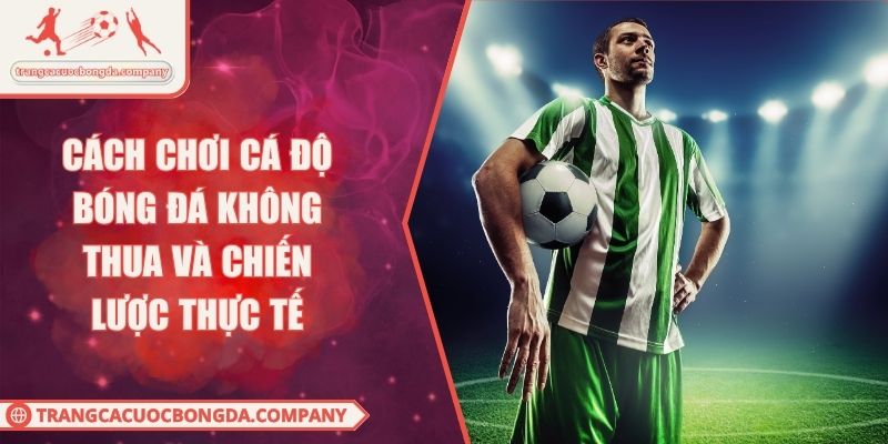 Cách Chơi Cá Độ Bóng Đá Không Thua Và Chiến Lược Thực Tế