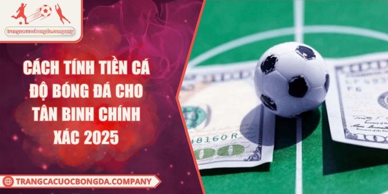 Cách Tính Tiền Cá Độ Bóng Đá Cho Tân Binh Chính Xác 2025