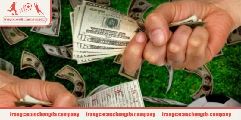 Khái quát vài nét về tiền cỏ trong cá độ bóng đá