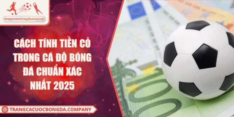 Cách Tính Tiền Cỏ Trong Cá Độ Bóng Đá Chuẩn Xác Nhất 2025