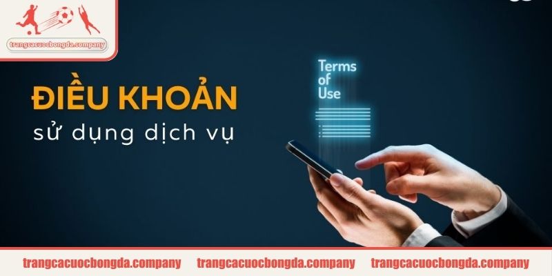 Cập nhật thay đổi về điều khoản sử dụng