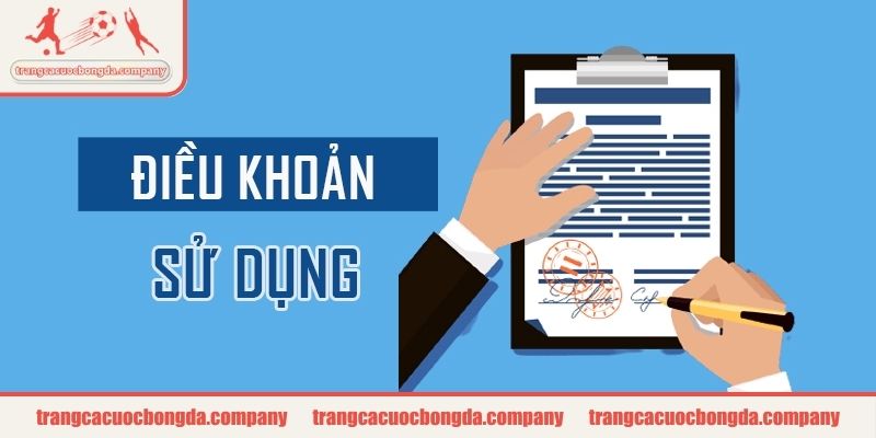 Quyền và nghĩa vụ người dùng