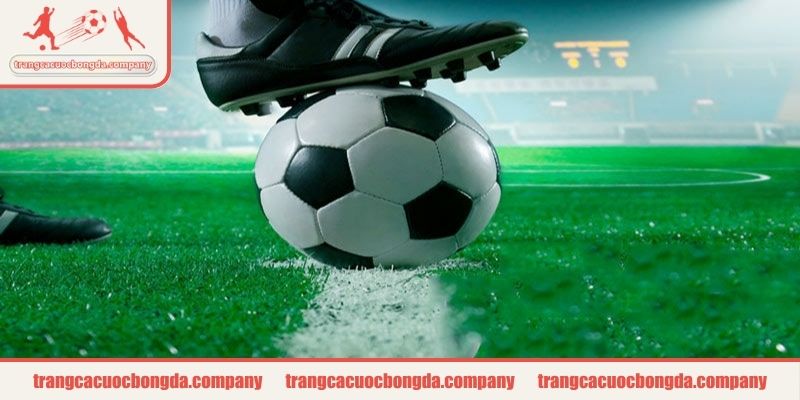 Giới thiệu chuyên trang trangcacuocbongda.company