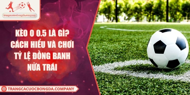Kèo 0 0.5 Là Gì? Cách Hiểu Và Chơi Tỷ Lệ Đồng Banh Nửa Trái