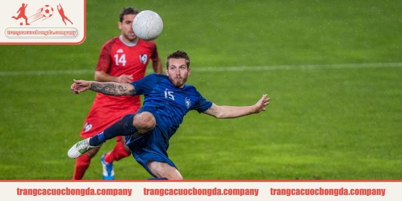 Khám phá kèo 0.5/1