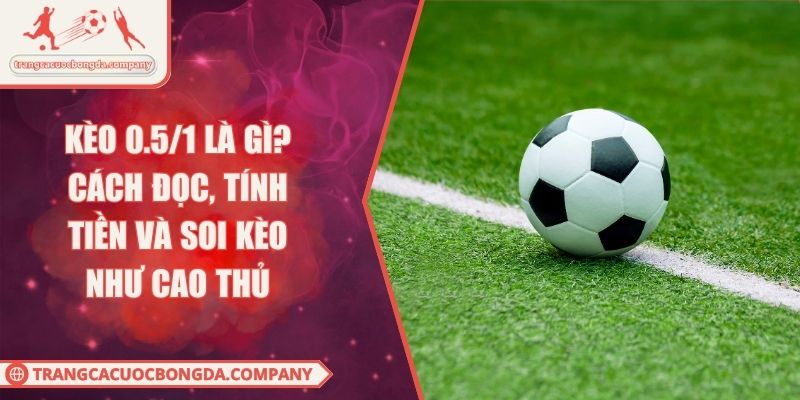 Kèo 0.5/1 Là Gì? Cách Đọc, Tính Tiền Và Soi Kèo Như Cao Thủ