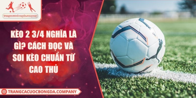 Kèo 2 3/4 Nghĩa Là Gì? Cách Đọc Và Soi Kèo Chuẩn Từ Cao Thủ