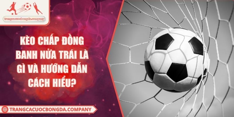 Kèo Chấp Đồng Banh Nửa Trái Là Gì Và Hướng Dẫn Cách Hiểu?
