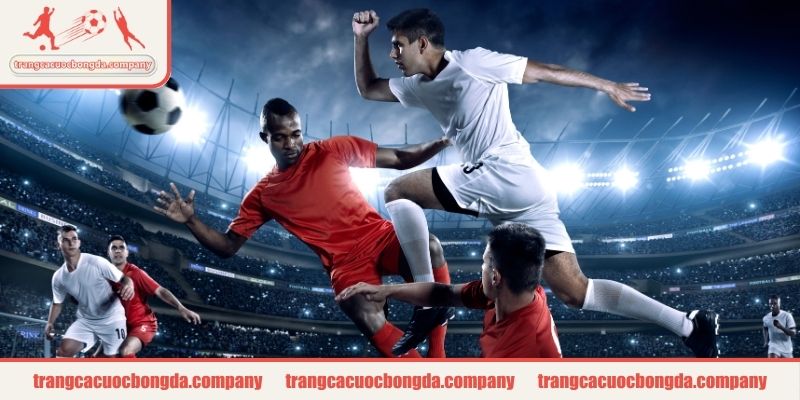 Tại sao cá độ bóng đá luôn thua do không hiểu rõ cách nhà cái hoạt động