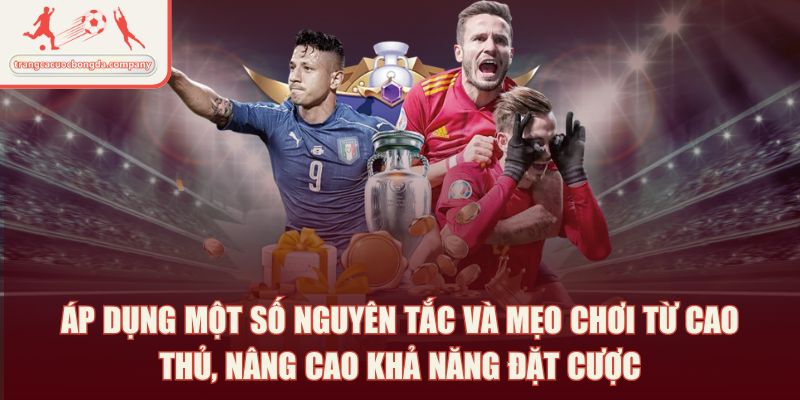 Áp dụng một số nguyên tắc và mẹo chơi từ cao thủ, nâng cao khả năng đặt cược