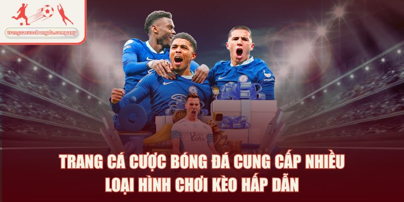 Trang cá cược bóng đá cung cấp nhiều loại hình chơi kèo hấp dẫn