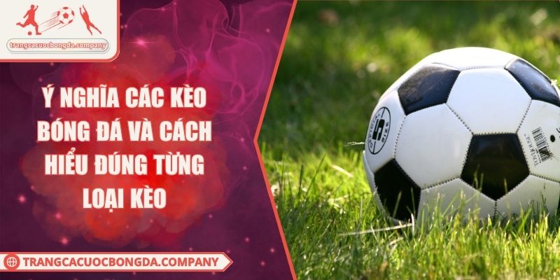 Ý Nghĩa Các Kèo Bóng Đá Và Cách Hiểu Đúng Từng Loại Kèo