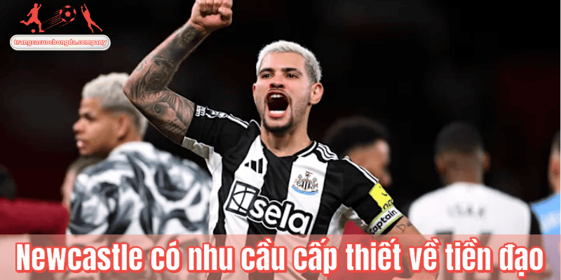 Newcastle có nhu cầu cấp thiết về tiền đạo