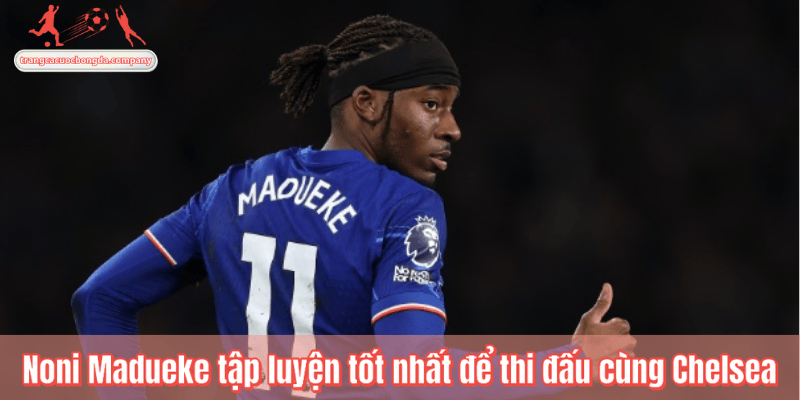 Noni Madueke tập luyện tốt nhất để thi đấu cùng Chelsea