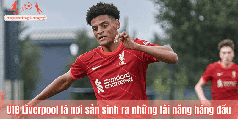 U18 Liverpool là nơi sản sinh ra những tài năng hàng đầu