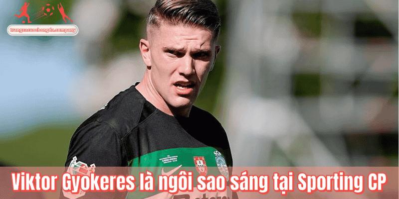Viktor Gyokeres là ngôi sao sáng tại Sporting CP